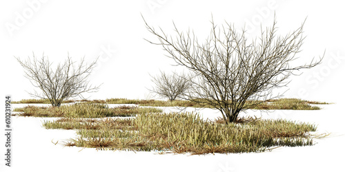 Obraz na płótnie dry bushes and grass, desert scene cut-out, isolated on transparent background w salonie
