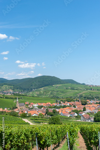 Ortsotale von Birkweiler mit Weinbergen und Pf  lzerwald im Hintergrund. Region Pfalz im Bundesland Rheinland-Pfalz in Deutschland