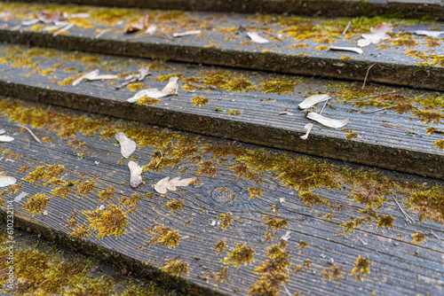 Old Stairs, Wooden Staircase with Moss, Old Empty Street Stairway Closeup