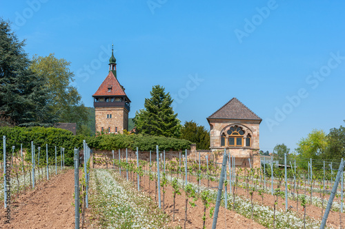 Hofgut und ehemaliges Kloster Geilweilerhof bei Siebeldingen. Region Pfalz im Bundesland Rheinland-Pfalz in Deutschland photo