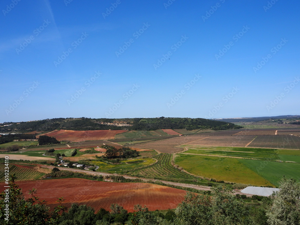Naklejka premium Nature of Óbidos