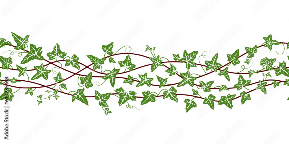 Ivy. Vector border seamless pattern. Greens branches on a white background. Abstract floral background.