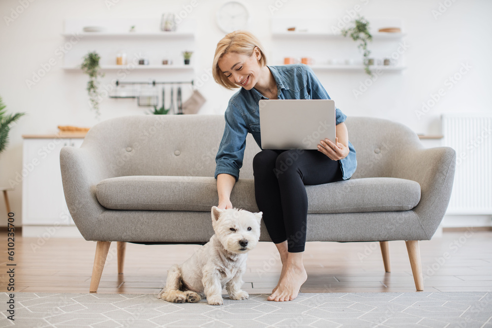 Faithful West Highland White Terrier staying close to female owner in casual clothes and with portable computer. Cuddly small dog helping young lady cope with business crisis by giving love at home. Faithful West Highland White Terrier staying close to female owner in casual clothes and with portable computer. Cuddly small dog helping young lady cope with business crisis by giving love at home.