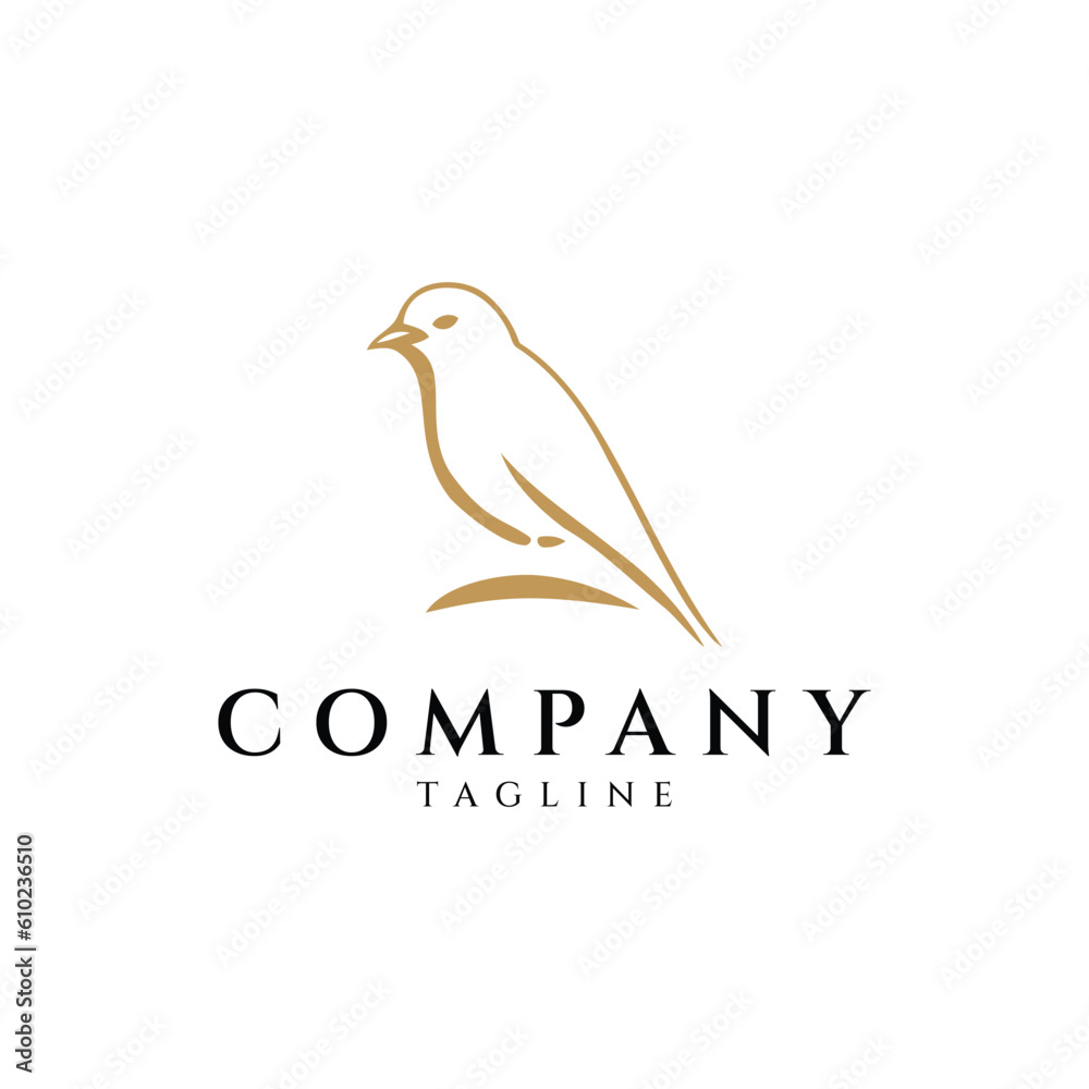 Bird logo design vector illustration
