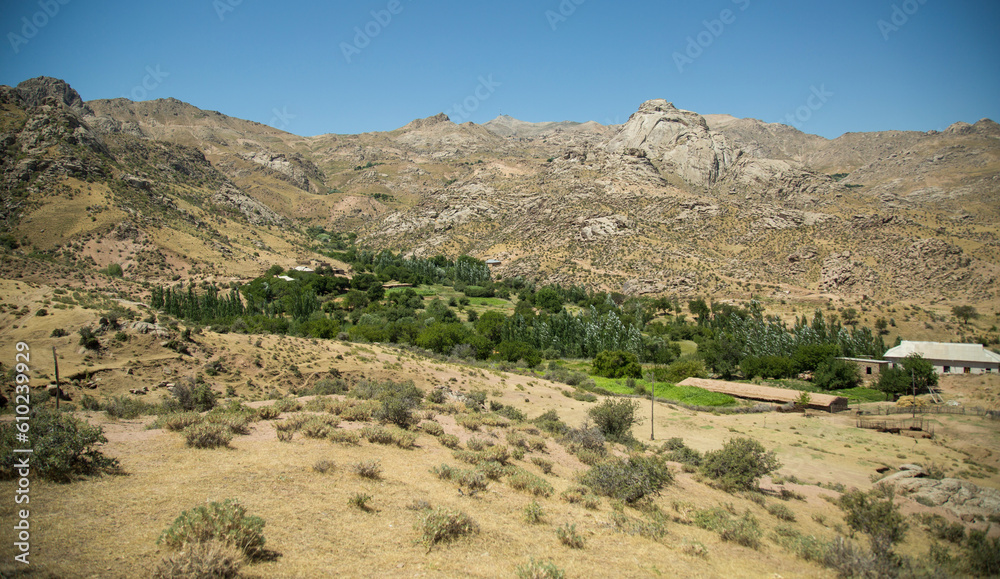 small green trees in a dry mountain
