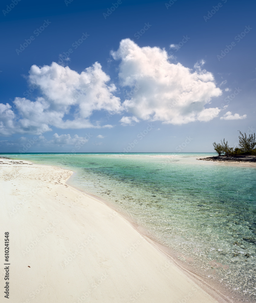 Fototapeta premium SIM-1231140