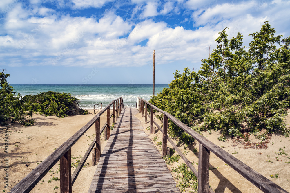 Obraz premium SIM-1246071