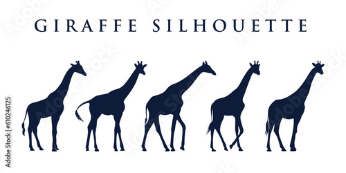 Vector of giraffe flat silhouette with different poses