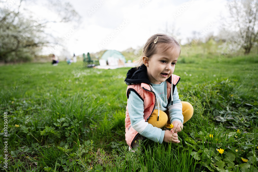 Baby girl plucking yellow flowers on spring meadow. Baby girl plucking yellow flowers on spring meadow.