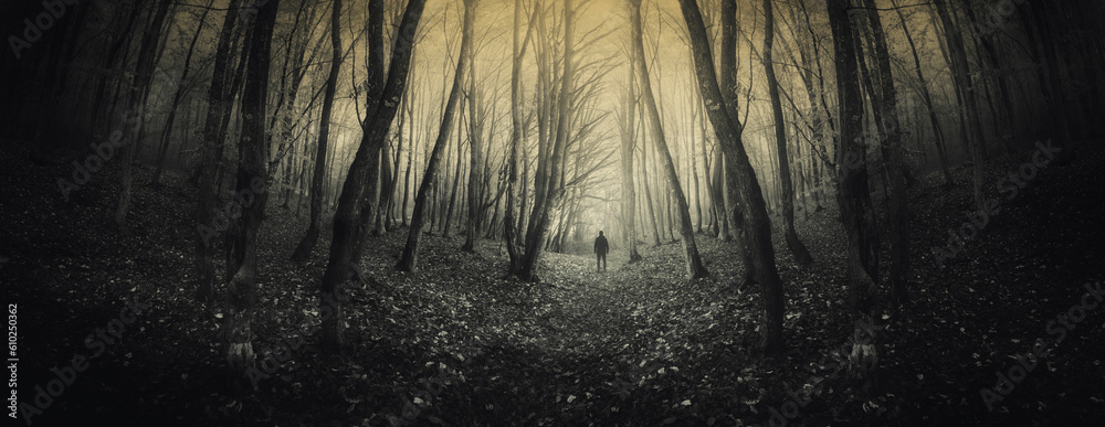 Obraz premium man in dark scary forest at night