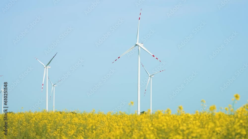 Producing wind energy by large wind turbines generators with rotating blades in blooming canola rapeseed field. Electricity, ecological saving and alternative power source