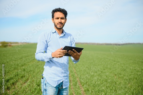 Portrait of farmer standing in a wheat field. farmer stands in green wheat field  looks  examines his crop