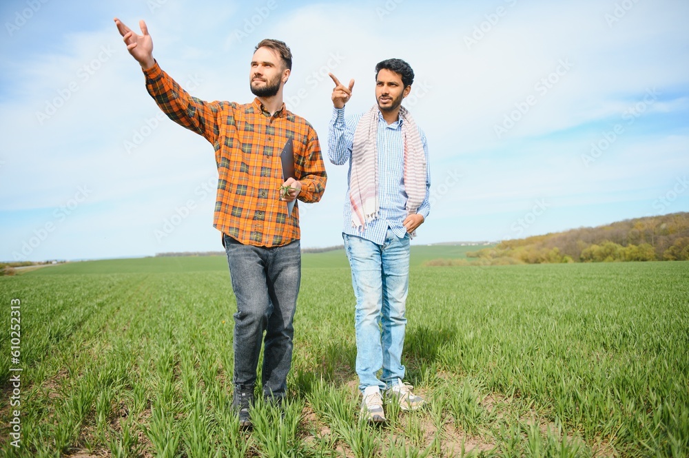Indian and European farmers stand in a field of green wheat Indian and European farmers stand in a field of green wheat