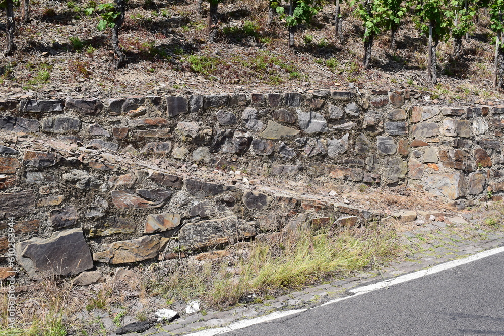 Vineyards wall ramp