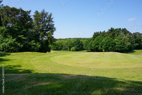 beautiful golf course landscape with woodland trees. view over golfing green with flag. sport and leisure image 