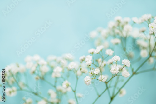 Bouquet of gypsophila on a light blue background. Greeting card, floral background.Selective focus.