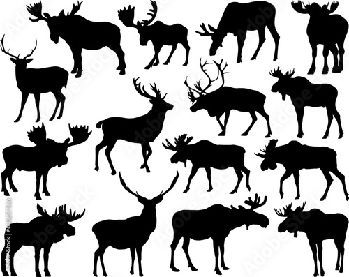 Fototapeta Naklejka Na Ścianę i Meble -  Set of Moose Silhouette, Wild Animal