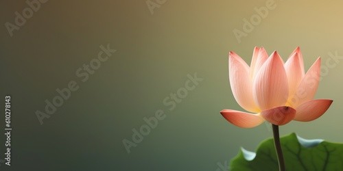 Lotus wallpaper close up preview  illustration for product presentation template  copy space background. Ai generative