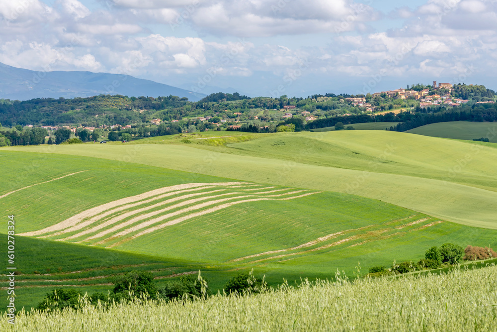 The green countryside with streaks of wasteland near Orciano Pisano and Lorenzana, Pisa, Italy