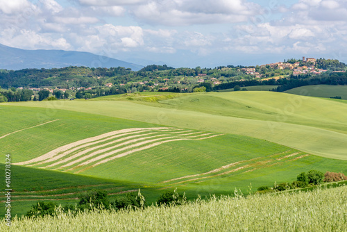 The green countryside with streaks of wasteland near Orciano Pisano and Lorenzana, Pisa, Italy photo