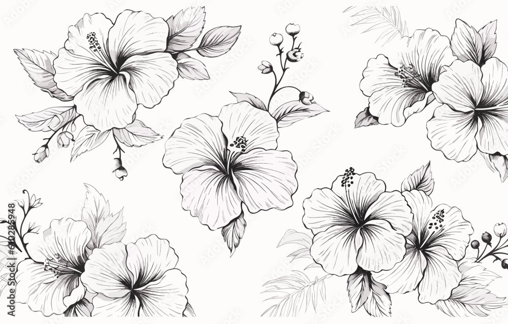 Fototapeta premium Botanical drawing. Minimal plant logo, meadow greenery, leaf and blooming flower abstract sketch element collection, linear rustic branch. Vector hand drawn wedding invitation bouquet decoration set