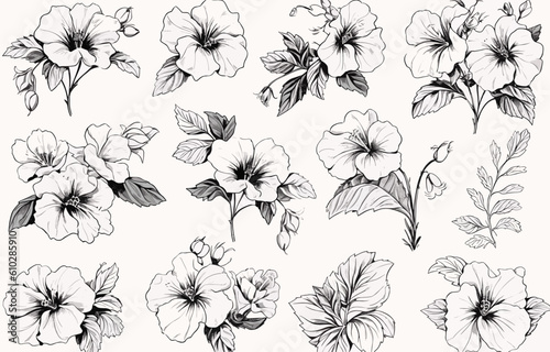 Botanical drawing. Minimal plant logo, meadow greenery, leaf and blooming flower abstract sketch element collection, linear rustic branch. Vector hand drawn wedding invitation bouquet decoration set