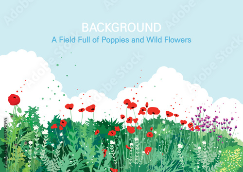 Green field landscape with blooming poppies and wildflowers