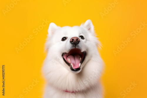 Happy white dog isolated on colorful background, Generative AI © Imagify