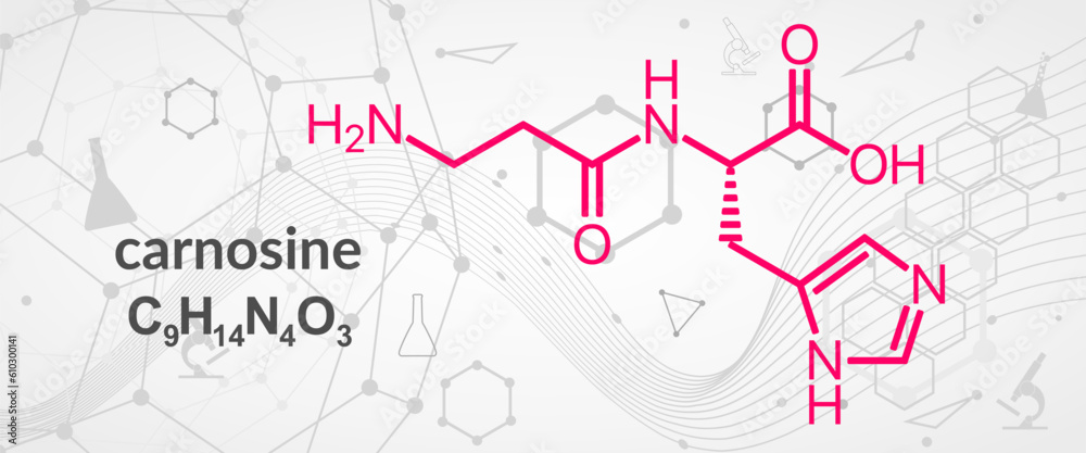 Carnosine or L-carnosine food supplement molecule. Skeletal formula.