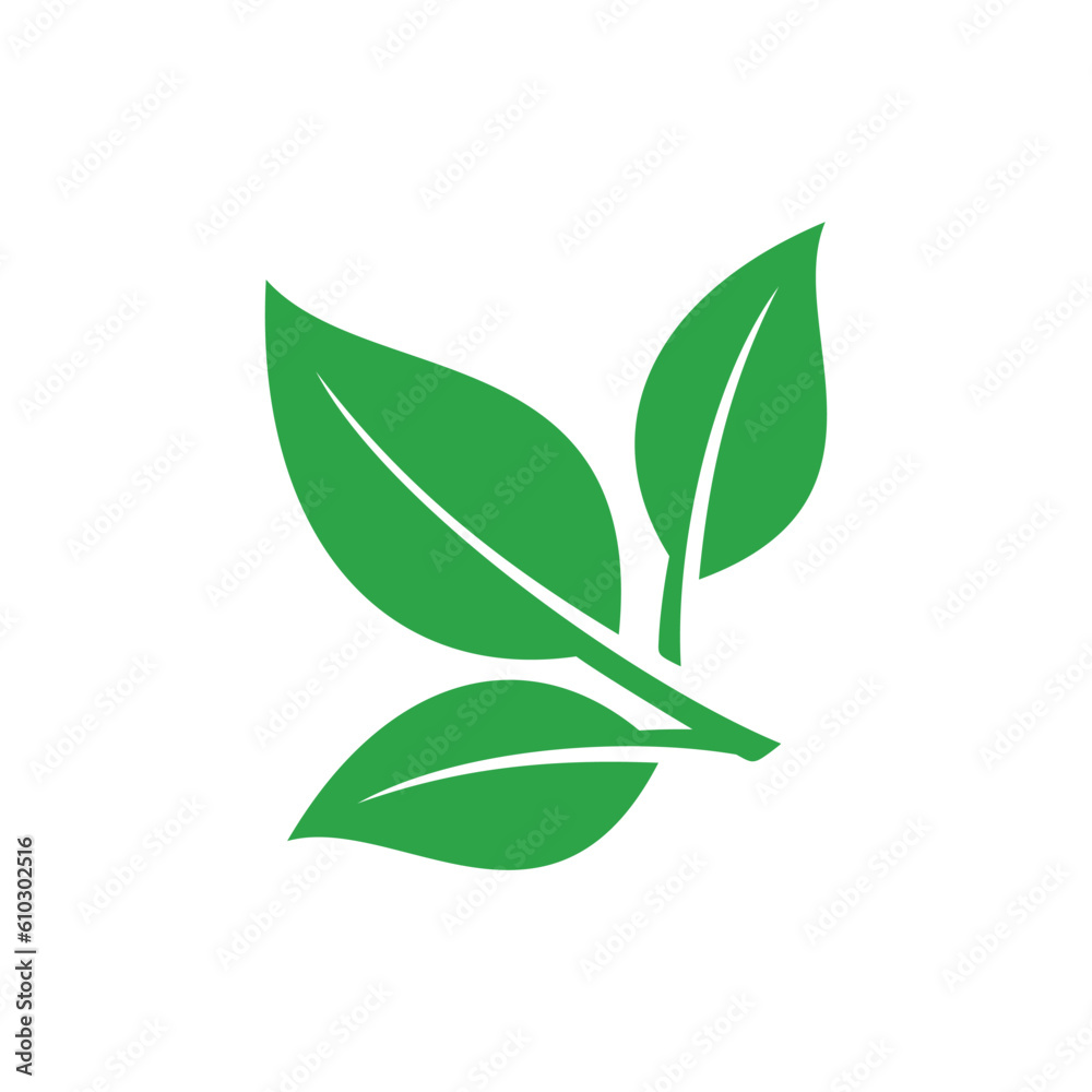 Obraz premium Green Leaf Vector, Eco Leaves Spa Logo Template