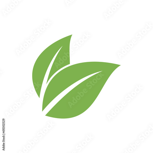 Green Leaf Vector, Eco Leaves Spa Logo Template