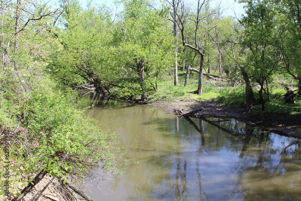 North Branch of the Chicago River at Miami Woods in Morton Grove, Illinois