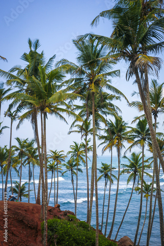 Palm trees and the ocean. Sri Lanka