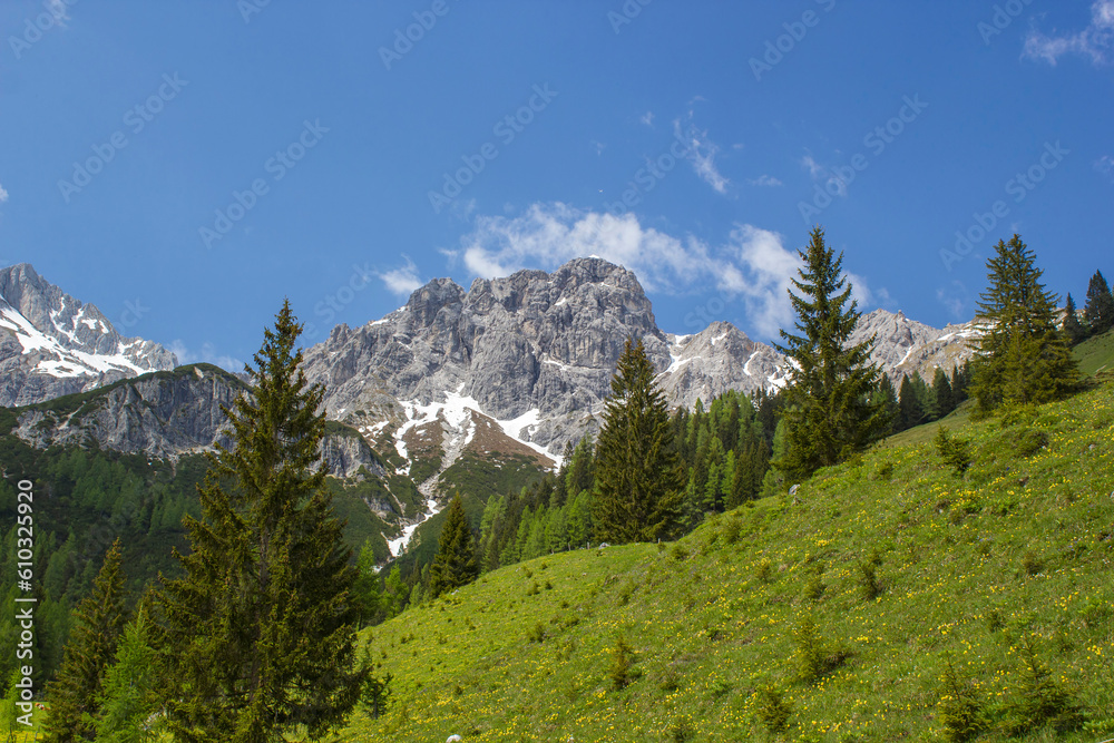 Landscape in the Austrian Alps of the Dachstein region (Styria in Austria)
