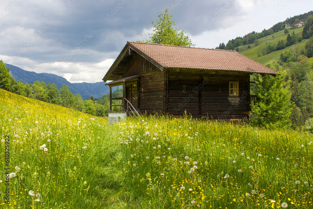 Obraz premium landscape in summer with barn house surrounded by a green meadow, Dachstein regionl, Austria