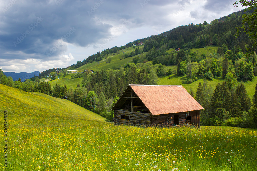 landscape in summer with barn house surrounded by a green meadow, Dachstein regionl, Austria