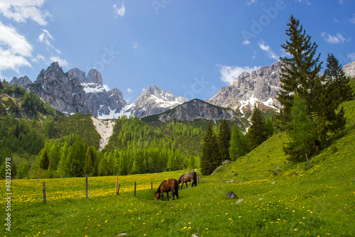 Landscape in the Austrian Alps of the Dachstein region (Styria in Austria)