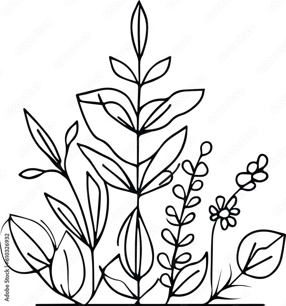 vintage botanical line drawing, botanical illustration botanical line drawing, simple botanical line drawing, simple botanical flower drawings, easy botanical doodles. aesthetic flower doodles, 