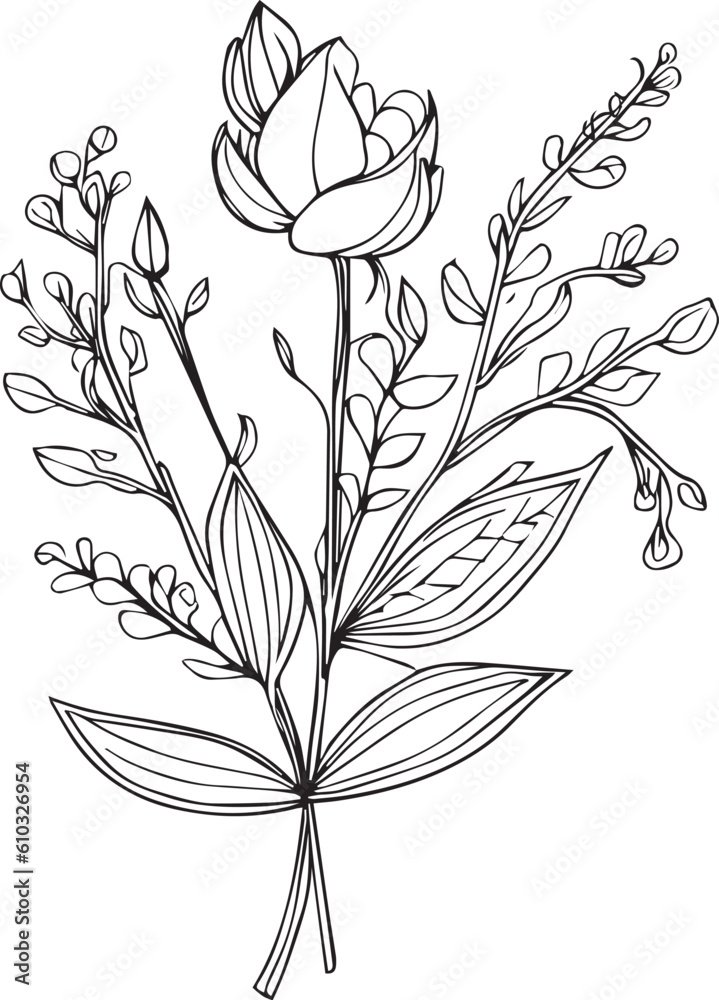 botanical drawings, botanical drawings of flowers, botanical drawings of wildflowers, aesthetic wildflower drawings, botanical leaf clipart,  botanical illustration, vintage botanical illustrations