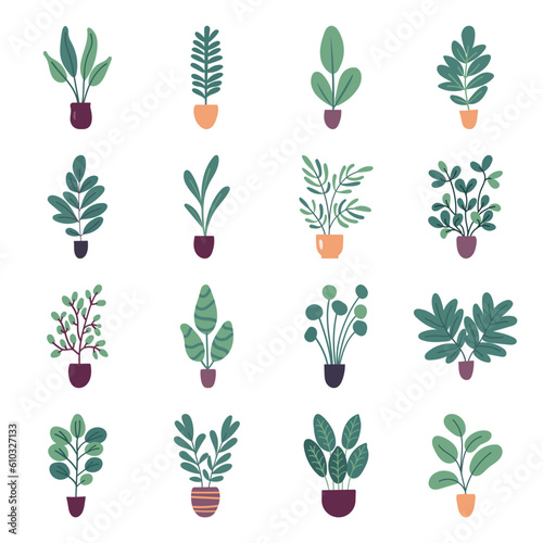 Collection of flat vector house plants isolated on white background