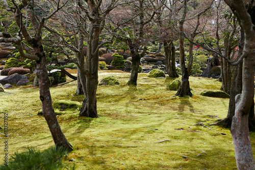 Well manicured gardens, Japanese gardens photo