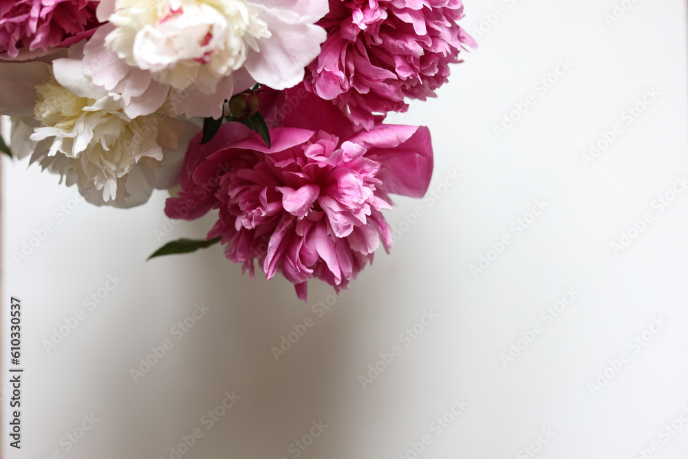 bouquet of pink and white peonies above a blank white space bouquet of pink and white peonies above a blank white space