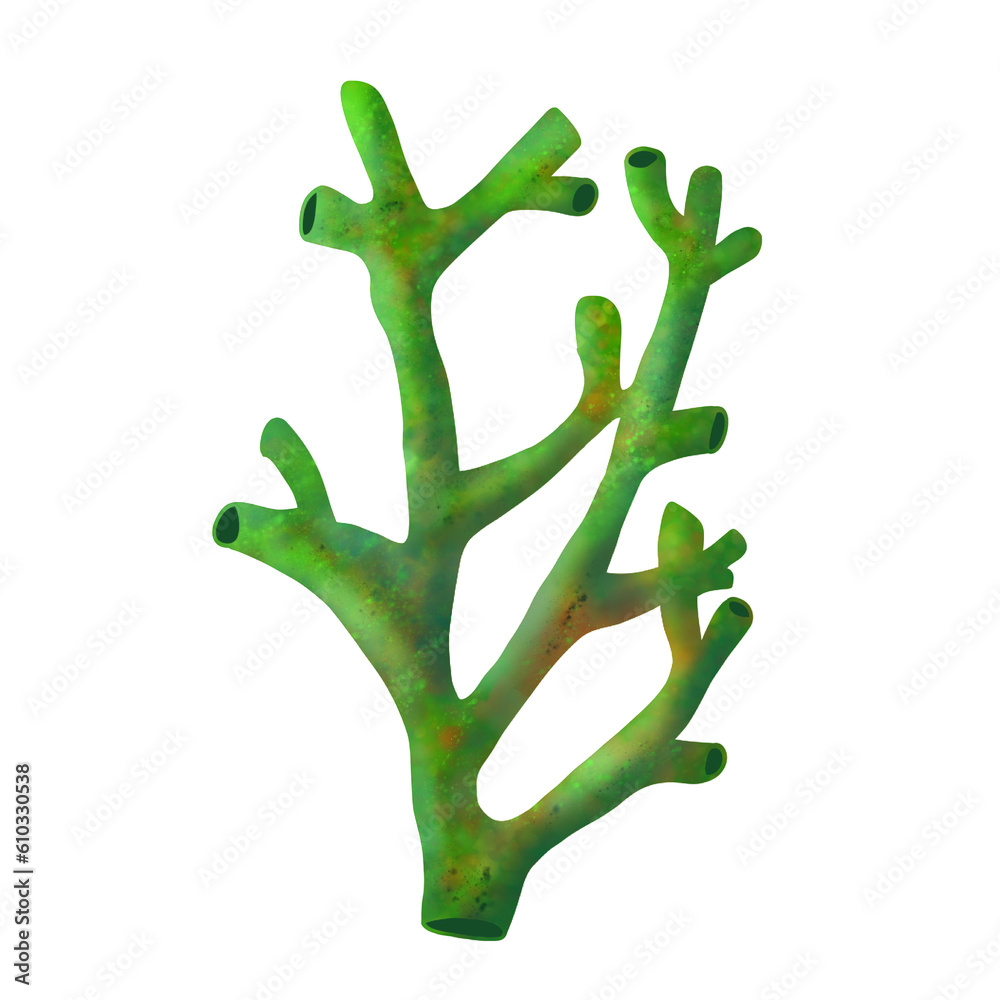 Obraz premium Green coral