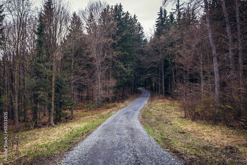 Forest on Cab Mountain near Vsetin city in Beskids, Czech Republic