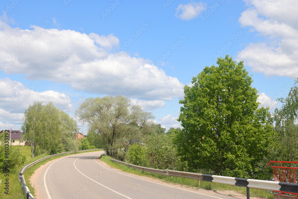 Fototapeta premium Beautiful summer landscape in the countryside. Green meadow and trees. Green forest with green meadow grassy landscape. Moscow region.