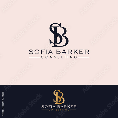 Modern consulting vector logo featuring SB initials. A sleek and professional logotype perfect for business branding and corporate identity. photo