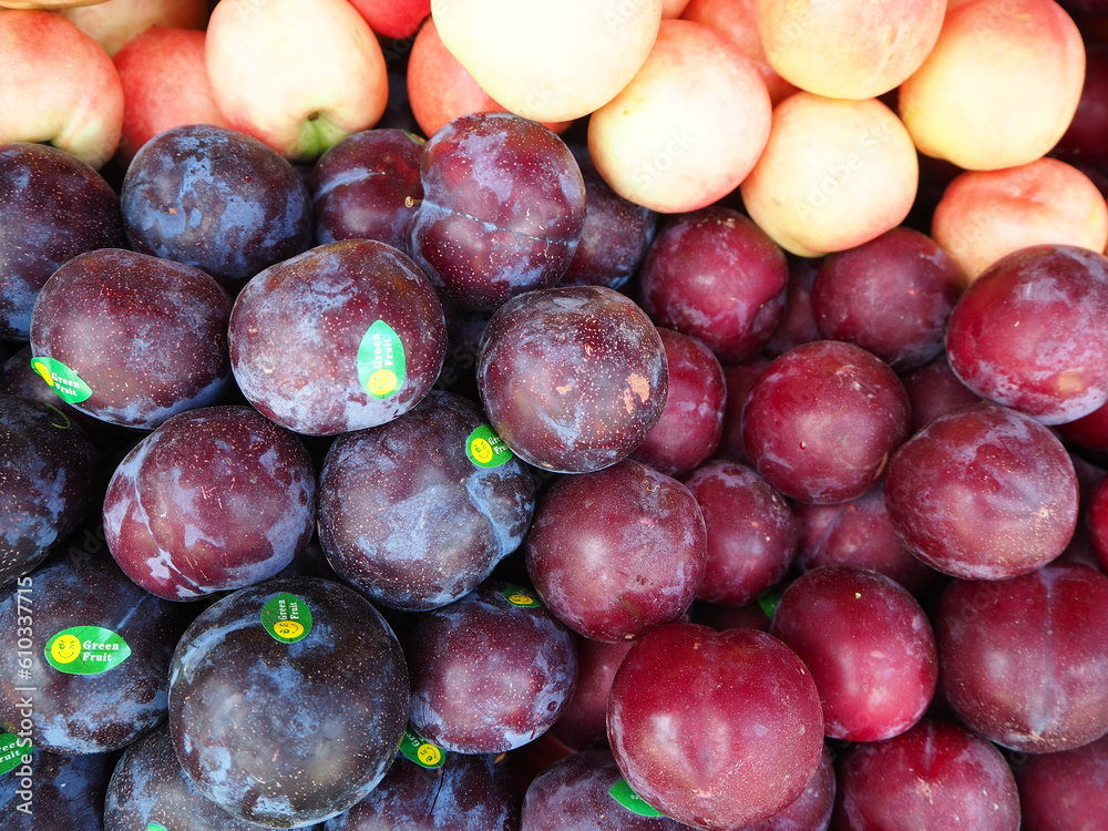 Fototapeta premium Plum, scientific name Prunus domestica L., is in the family ROSACEAE in the prune family, as well as plums, cherries, almonds
