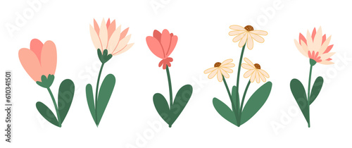 Blooming flowers spring vector illustrations collection. Green leaves and flowers blossom seasonal flat style drawings set Isolated