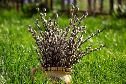 catkin bouquet in a brown pot with green grass in the background