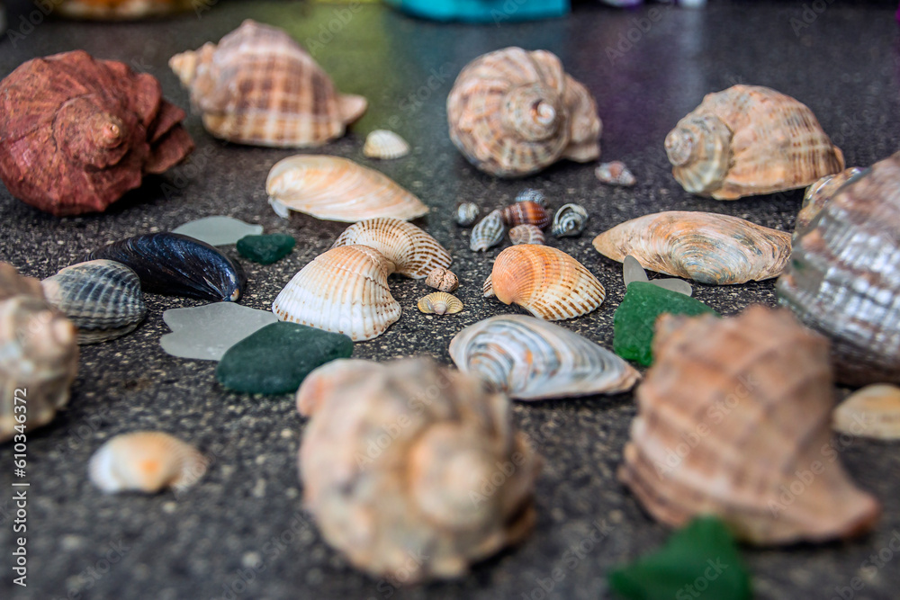 Many multi-colored shells among sea glasses	
